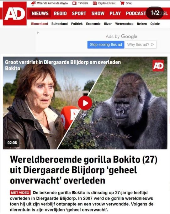 Bokito onverwachts overleden door hartfalen. Maar komt vast niet door die heilige prik #bigmaffiapharma<a href="/tag/bigmaffiapharma"class="tags"><span>#bigmaffiapharma</span></a>