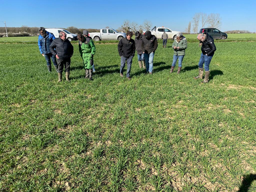 [#collectifbio] Cette semaine, 40 agriculteurs bio et conseiller de <a href="/CAIDF/">Chambre d'agriculture de Région IDF</a> se sont réunis pour 4 tours de plaine dans les départements de <a href="/Departement77/">Seine-et-Marne</a>, <a href="/CDEssonne/">Département de l'Essonne</a> et dans les <a href="/Les_Yvelines/">Les Yvelines</a> 
🌱 Des moments riches en convivialité et échanges techniques.