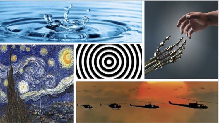 Indigo Menaboni tweet media