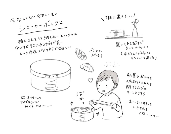 欲しいもの絵日記
「シェーカーボックス」 