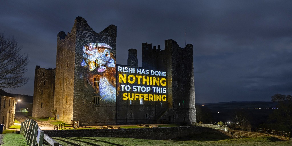 In Rishi Sunak’s stomping ground of Richmondshire, we projected our simple campaign demand across local landmarks: end cages for hens.

Join us in telling the Prime Minister to ban cages this Easter: thl.link/cluckoff
#CluckOffRishi