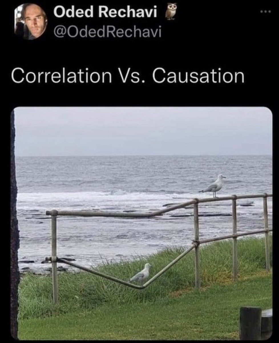 Carl O'Malley tweet media