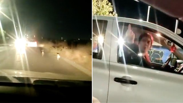 Cooperativa's tweet photo. [Video] "Fúname, no me importa": Captan abandono de perritos en Rancagua #CooperativaContigo https://t.co/iicsUsg95J https://t.co/yCRopIiec0