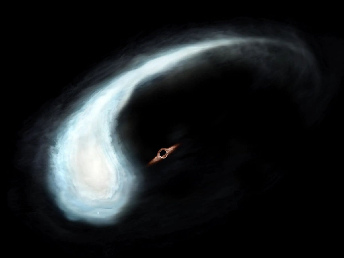 maximaxoo's tweet photo. #Space: mysterious #CosmicTadpole: a strange #GasCloud dances with a colossal #BlackHole — unusual gas cloud called the “Tadpole” potentially orbiting a massive black hole 100,000x the mass of the Sun
👁 ► https://t.co/mENzDYNfX5 ◄ via @SciTechDaily1 https://t.co/8HvzbSOL4I