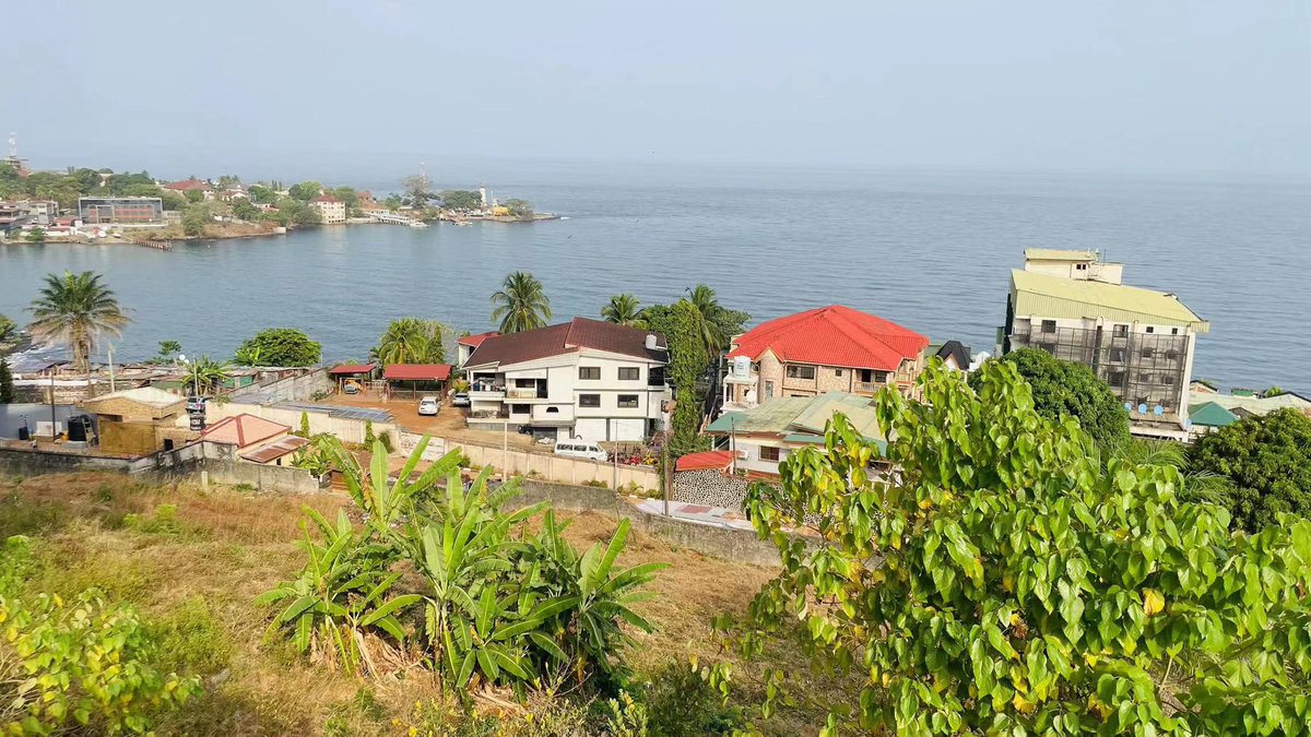 杜晓晖DU Xiaohui tweet media