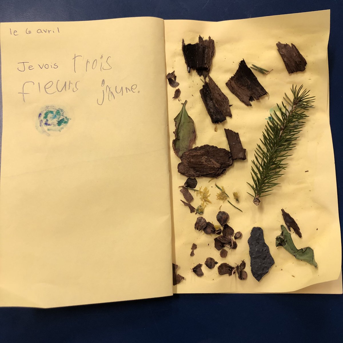 mmekkelly's tweet image. C’est moi l’espion- page 2: Dans la nature #SeeWhatIAmLearning #ImmersionFrançais #FrenchImmerion #HRCE