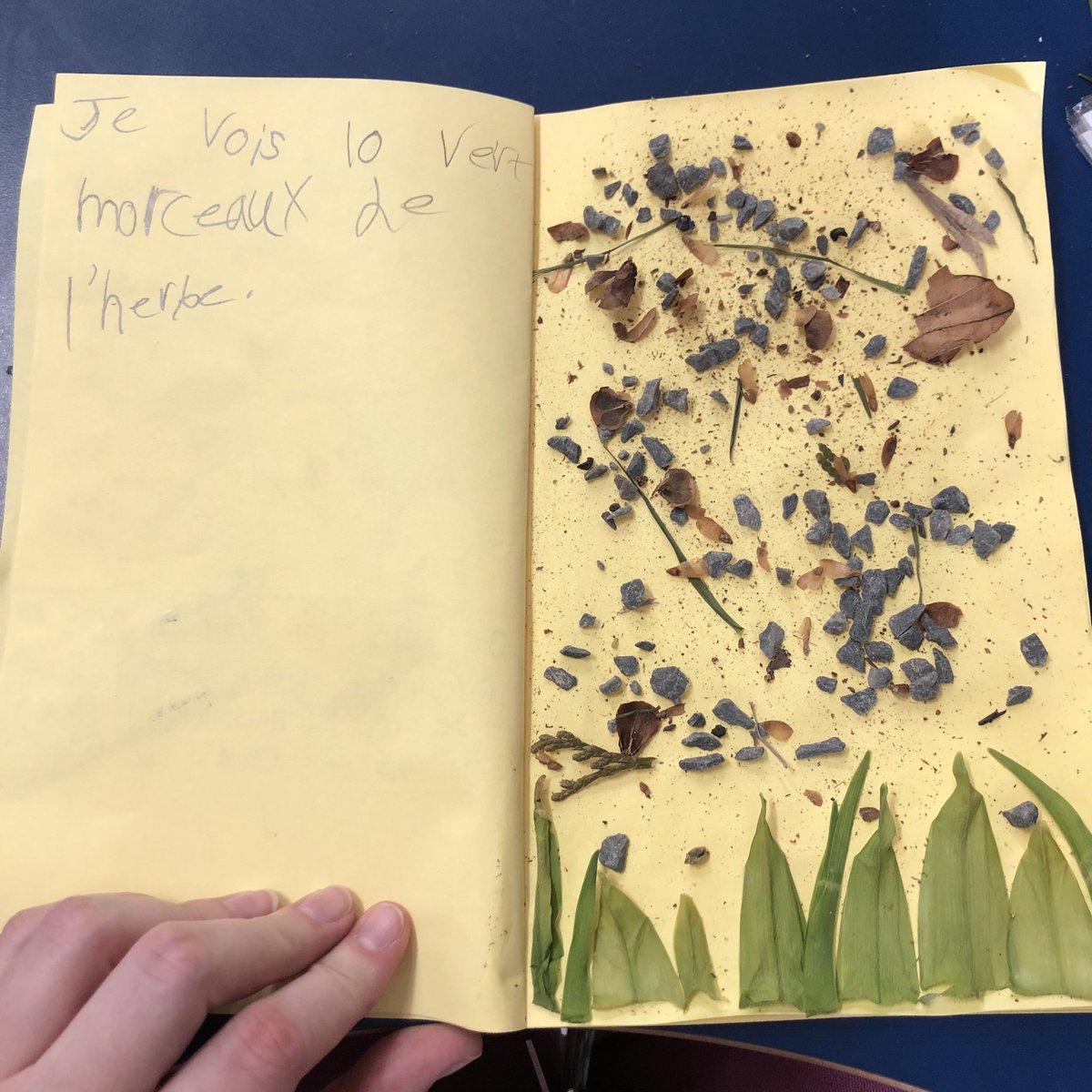 mmekkelly's tweet image. C’est moi l’espion- page 2: Dans la nature #SeeWhatIAmLearning #ImmersionFrançais #FrenchImmerion #HRCE