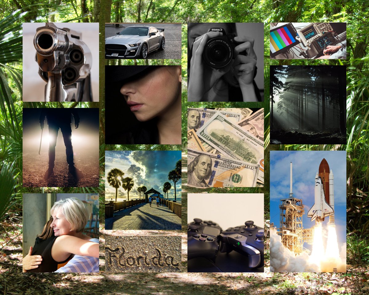 Subcontracted by a VA acquaintance turned investigator, a Great Recession-weary bookkeeper sets out to solve a murder, avoid her own, and expose a cover-up at NASA’s now-defunct Shuttle Program, all with her mother in tow. #moodpitch #F #A #Murder #S #HA