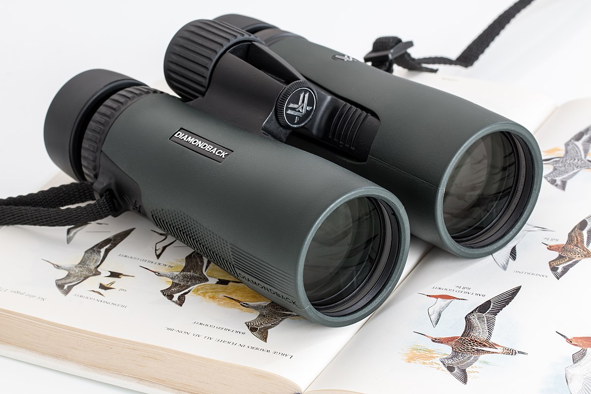 1/2 Challenge Time🏆! For the month of April, in preparation for ✨YEAR 3 KICKOFF✨, we want you to submit photos of anything Ontario Breeding Bird Atlas related! The prize - one pair of Vortex Binoculars! Post photos, videos, etc. of birds, friends, habitats, and more!