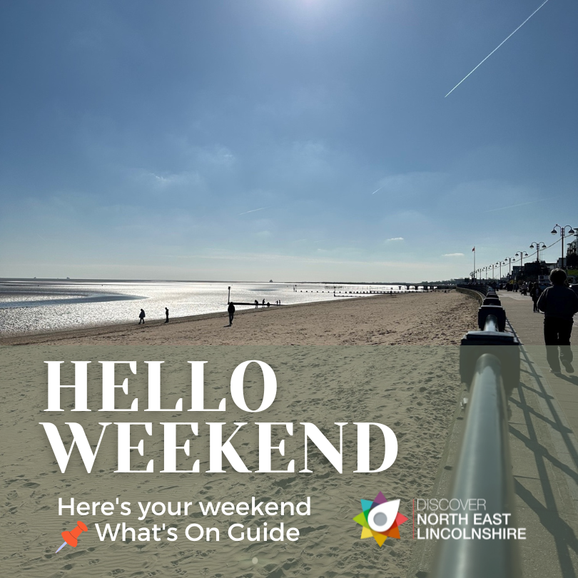 DiscoverNEL tweet media