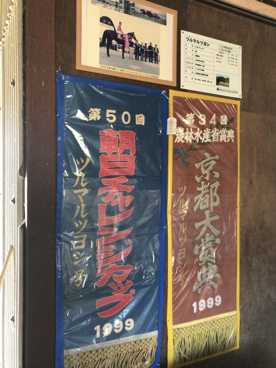 zardnchr's tweet photo. ツヨシ、現役時代から渋いイメージがあったけど実物は実際にイケオジ
おめでとう！ https://t.co/FhVQ0OYP3f