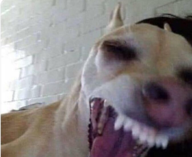 *mi amiga se cae*
yo: