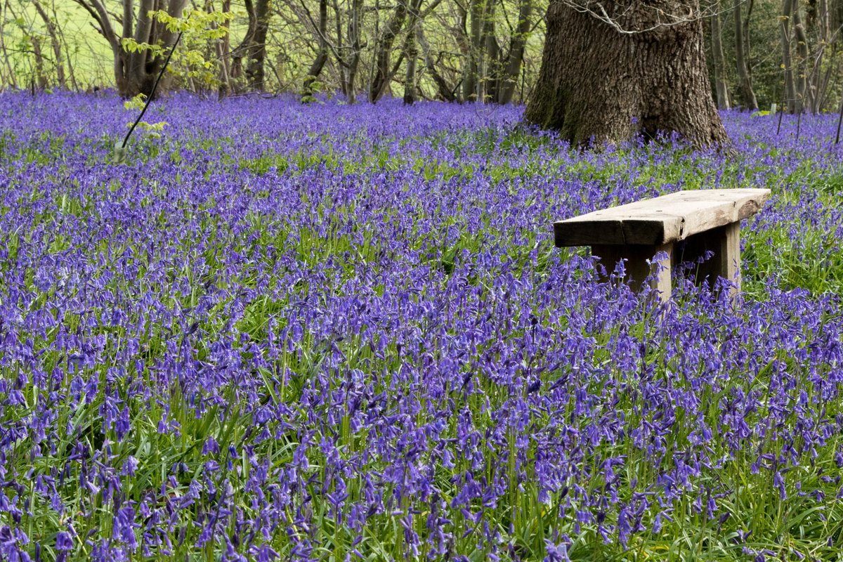 Hole Park Gardens tweet media