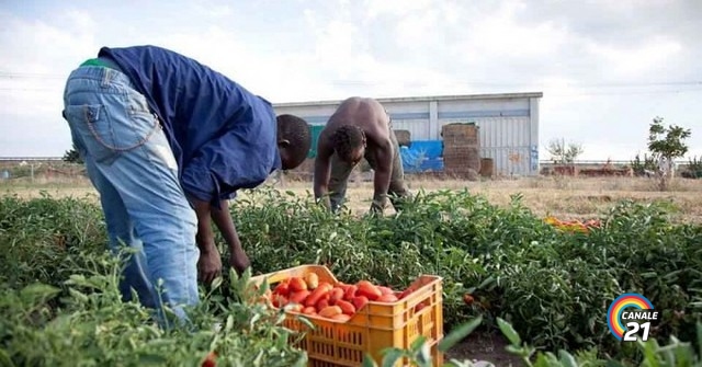 Su oltre 252mila domande presentate in tutta Italia lo scorso 27 marzo durante il click day del Decreto flussi, giorno in cui i datori di lavoro hanno inviato al ministero dell’Interno la documentazione necessaria ad assumere lavoratori stranieri, più

canale21.it/immigrati-lavo…
