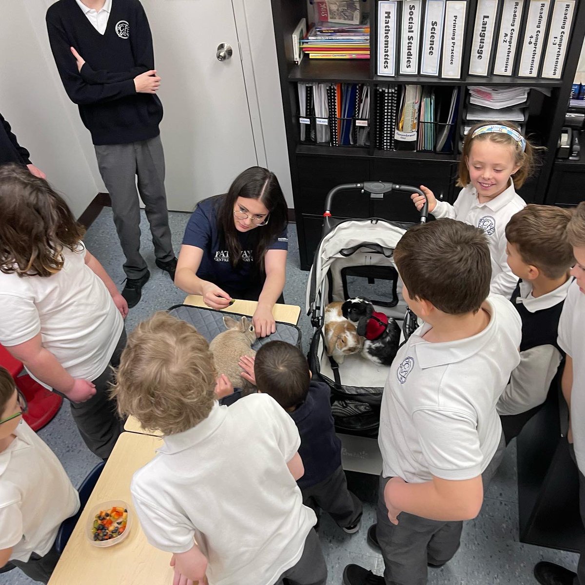PathwaysCFE's tweet photo. Pathways had some special visitors this morning just in time for Easter! 🐣 🐇 Students learned about rabbit anatomy, as well as food and care. #science  

Kindergarten to Grade 8
Pathways Centre for Education Private School  

#ReadyForMore #Keswick #Sutton #PefferLaw #georgina https://t.co/tr4YXM64kh