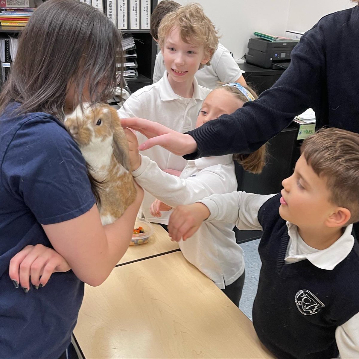 PathwaysCFE's tweet photo. Pathways had some special visitors this morning just in time for Easter! 🐣 🐇 Students learned about rabbit anatomy, as well as food and care. #science  

Kindergarten to Grade 8
Pathways Centre for Education Private School  

#ReadyForMore #Keswick #Sutton #PefferLaw #georgina https://t.co/tr4YXM64kh