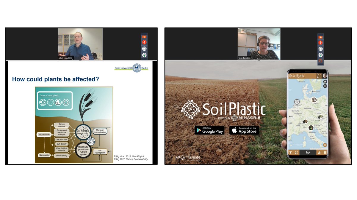 Wonderful talks by <a href="/mrillig/">Matthias C. Rillig</a> on the big picture effects of microplastics in the soil, and Dr. Taru Sandén on soil monitoring using SoilPlastic (the iNat for plastic in the soil) ➡️ <a href="/MinagrisEU/">MINAGRIS: Impacts of plastic debris on soil health</a> 
Thanks <a href="/Soil_Science/">British Society of Soil Science</a> for organising!