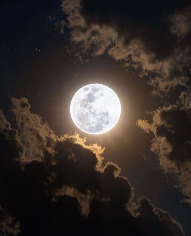SolBrah's tweet photo. Make sure to go for a long walk without your phone this evening under the light of the full moon. https://t.co/KLOY1ZZhYn