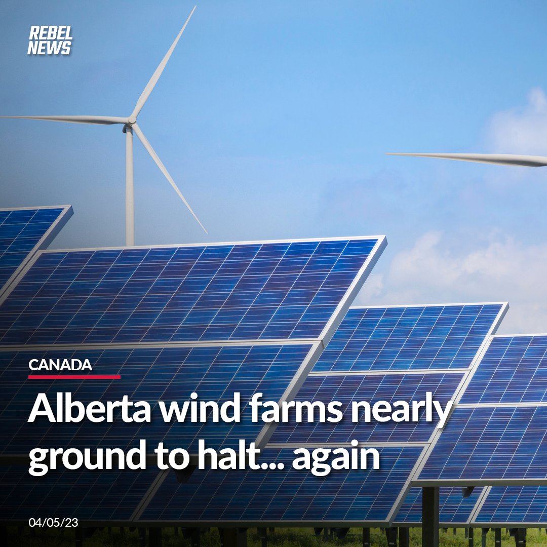 Rebel News on Twitter "According to Alberta's energy grid data, wind