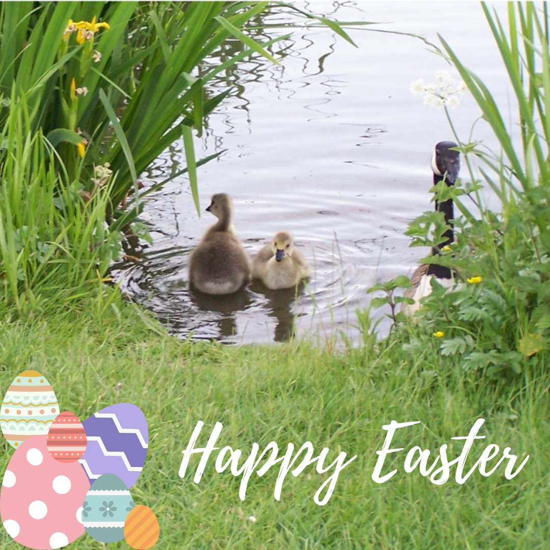 Happy Easter from everyone at Anglo Welsh! 🐰💐🥚🍫

#narrowboat #canalboatholidays #LifesBetterByWater #Easter