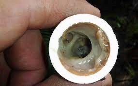 ProActiveMaint's tweet image. Having your AC drain line cleared yearly is essential. Debris buildup can cause clogs &amp;amp; costly 🛠️. Which is why we clean AC drains as part of our yearly Maintenance Service. 

Don&apos;t wait! - Schedule a Maintenance Package, including AC Maintenance! 

ProActiveAppMaintenance.com