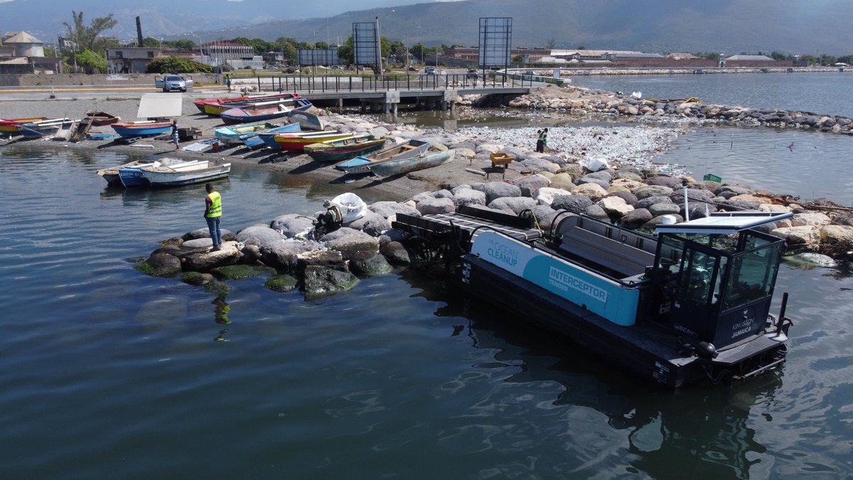 More good news from Jamaica! Interceptors 008, 009, 010 and 011 continue fighting plastic pollution in Kingston’s gullies. We’re still confirming the catch quantities - stay tuned for more details of our Interceptors’ impact on plastic pollution in Jamaica.