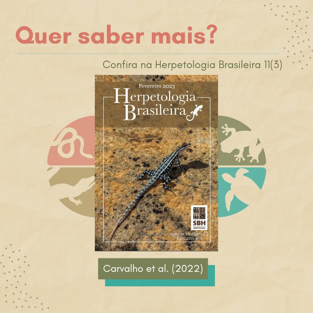 herpetologiaBR's tweet photo. 🐢🌿 Ao final, os autores descobriram um leque de quatro linhagens escondida sobre apenas uma entidade taxonômica. 😶‍🌫

⁉ Quer saber mais deste e outros trabalhos? Acesse a última edição da HB no site!

#linhagens #criptica #especies #quelonios #herpetologia https://t.co/Xt36Qy4KFC