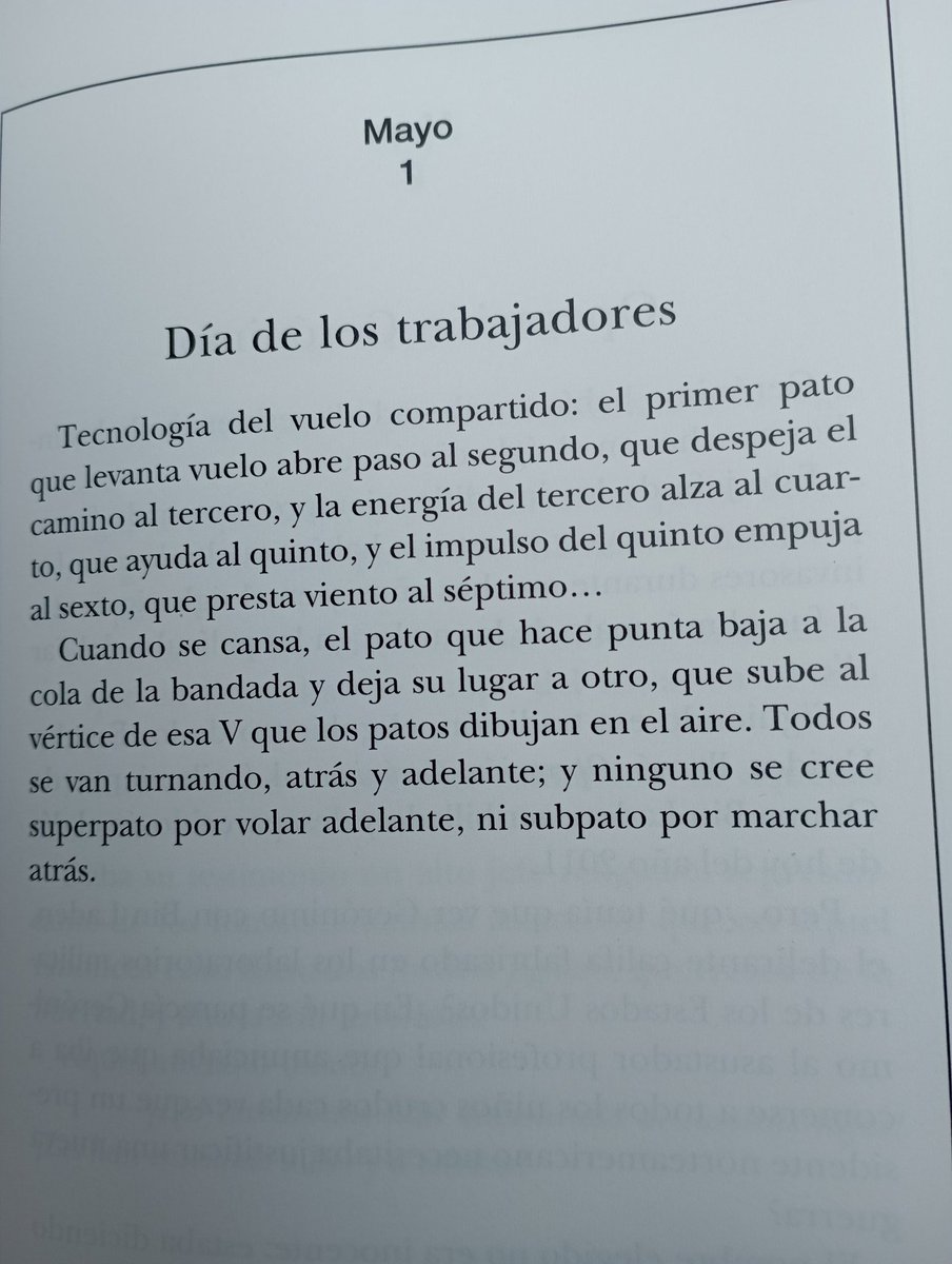 albert hola tweet media