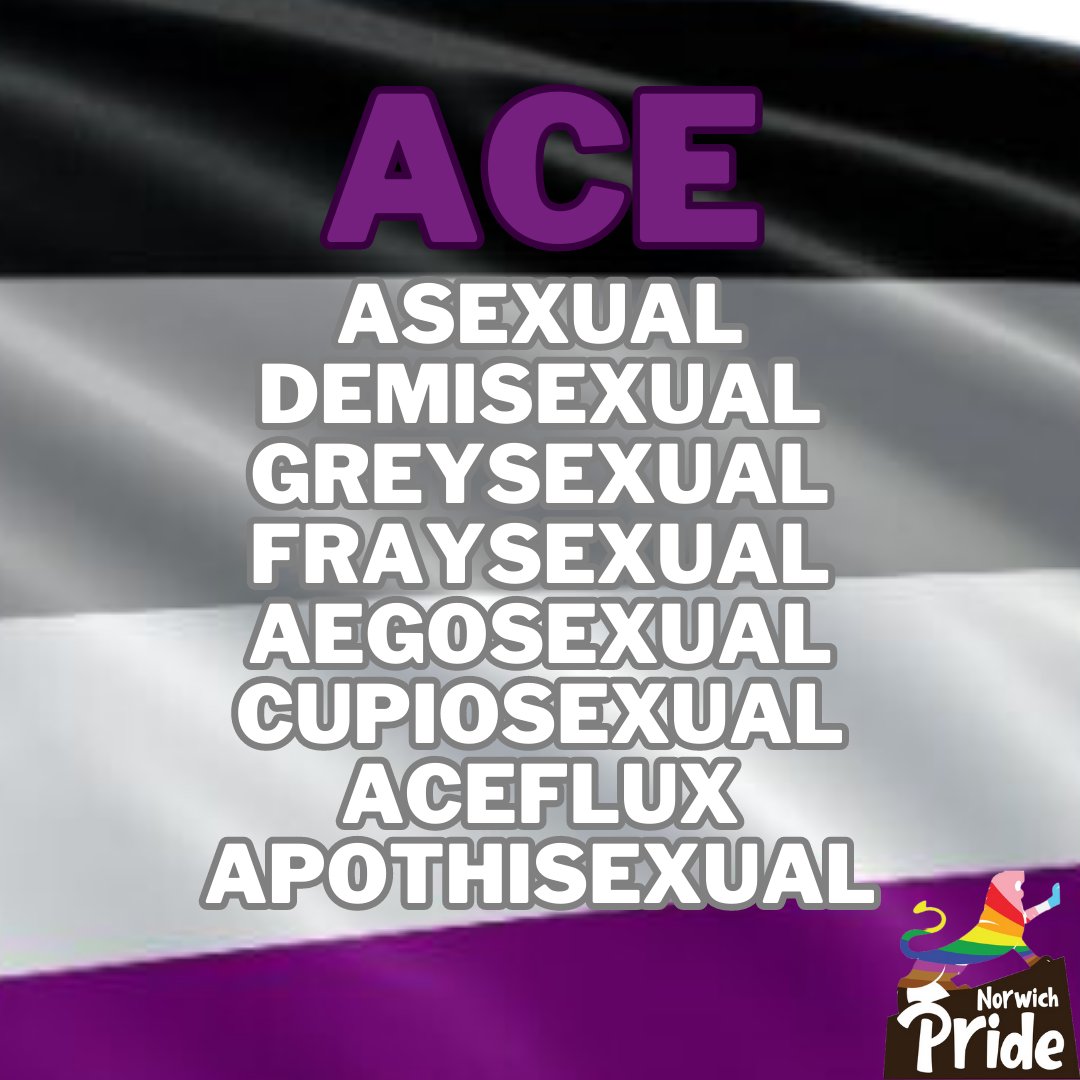 Asexuality is part of the #Ace umbrella.

For #InternationalAsexualityDay we want to remind the world that Asexuality is a valid sexuality!

Asexuality is when someone has little or no desire in sexual activity or no sexual attraction towards others.
