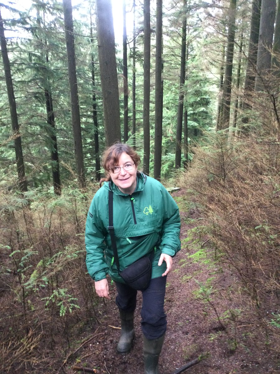 Euphresco's tweet photo. Ana Perez-Sierra, Head of the Tree Health Diagnostic and Advisory Service @ForestryComm, is the @Euphresco scientist of the month. She is involved in early warning systems and citizen science  and coordinates a project on seed-borne pathogens of conifers https://t.co/elVZAaw0Rt https://t.co/UpAQd1dUln