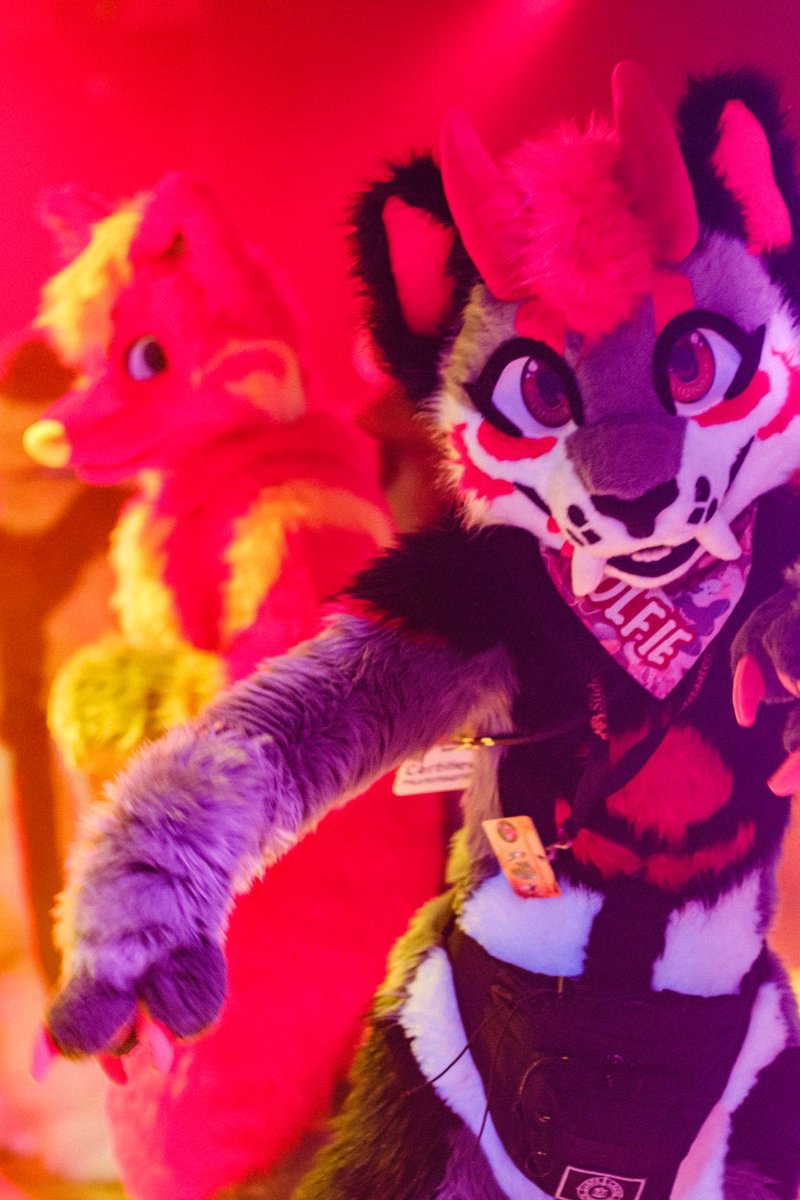 MOLOTOLF's tweet photo. THAT SIDEEYE NOOOO - I JUST WANT TO MOVE IT MOVE IT :(

Photo by Ahsokan

#ssfd6 #fursuit https://t.co/Wp2ZdY8YdR