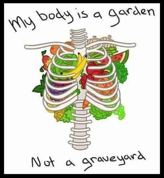 Eating a plant-based diet allows me to treat my body like the beautiful garden it is, not a toxic graveyard. 🌱💚

#vegan #govegan

📸 : @ bunyip on Pinterest