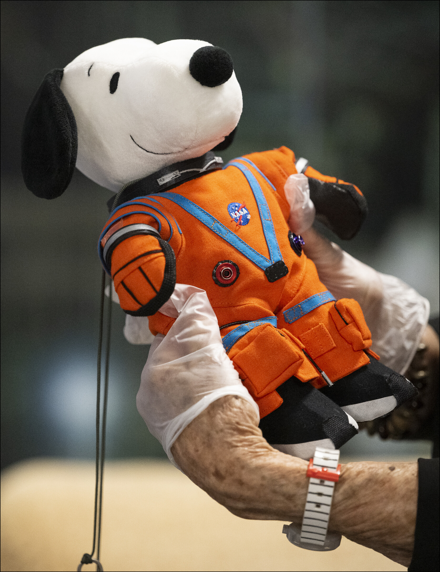 すぬぴん様 PEANUTS（@Snoopy）さん / X