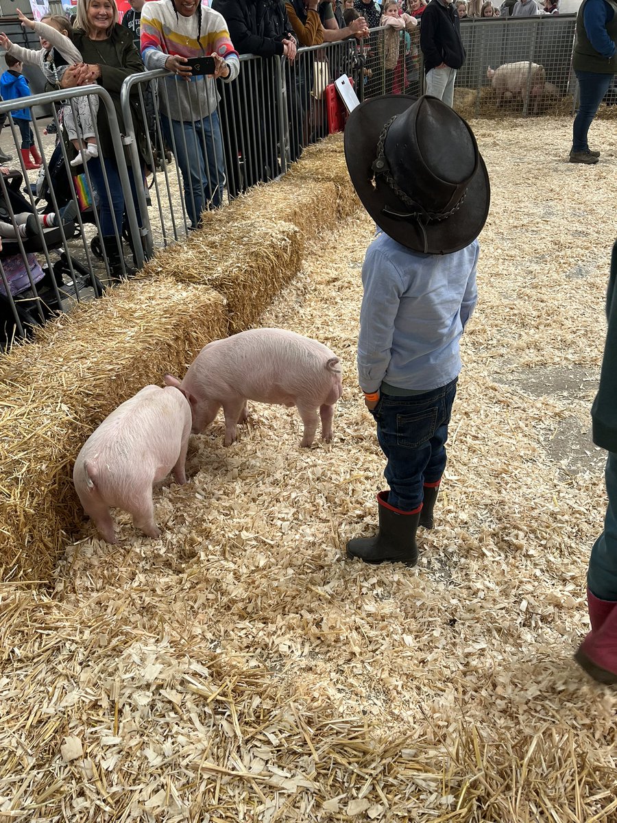BishGloucester's tweet photo. Lovely to be at CountryTastic  educational event for children @3countiesshows as #President2023 ‘Field to Fork’. Particularly loved the unicorns! .. https://t.co/M9PDrPQOEv