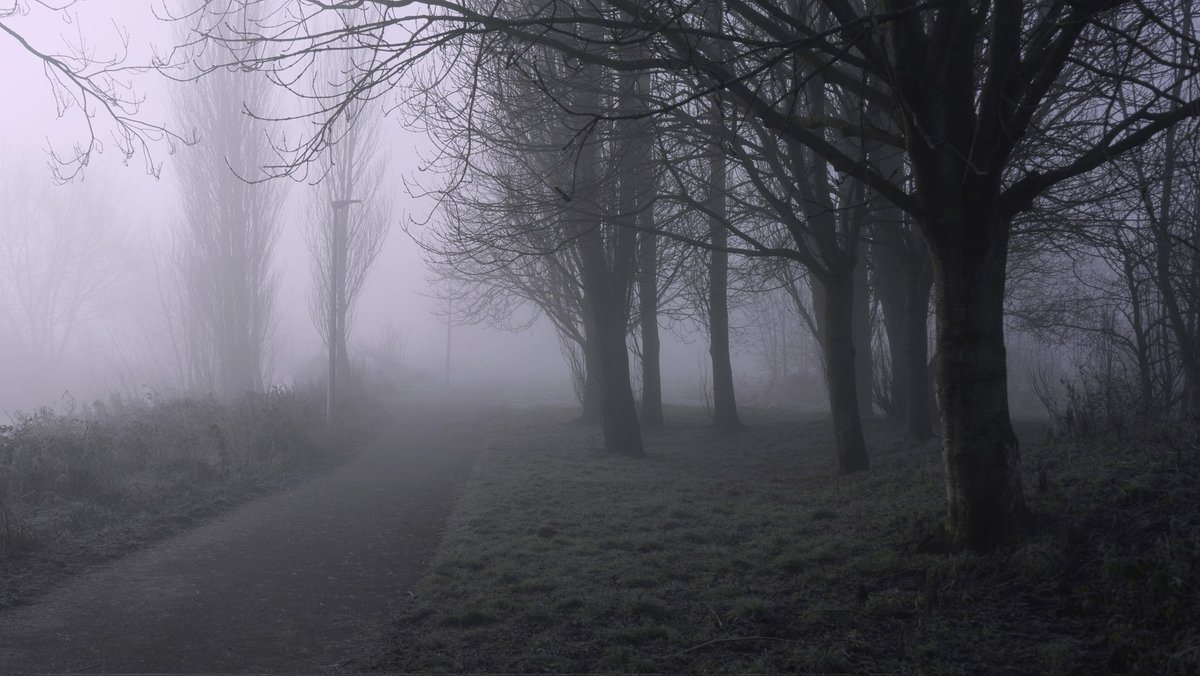 Patsd🪐 tweet media