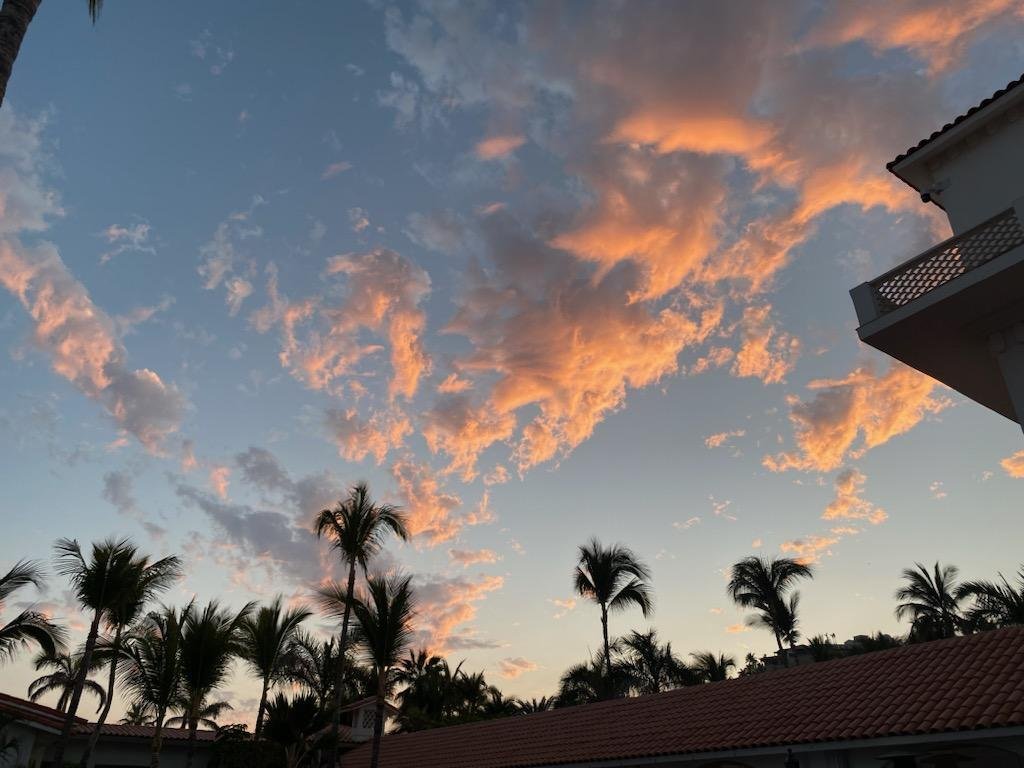 My recent trip to Cabo was two years in the works, but I finally got to reconnect and recharge with two of my closest friends! 🌴

These women uplift me and remind me of why life is good. I’m so grateful to have them in my corner.