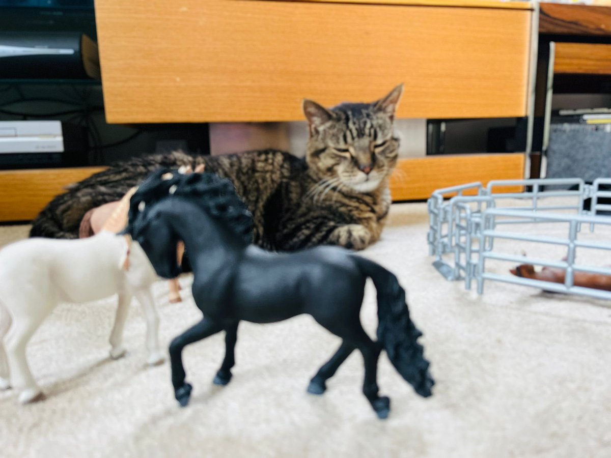 Team Year Four tweet media