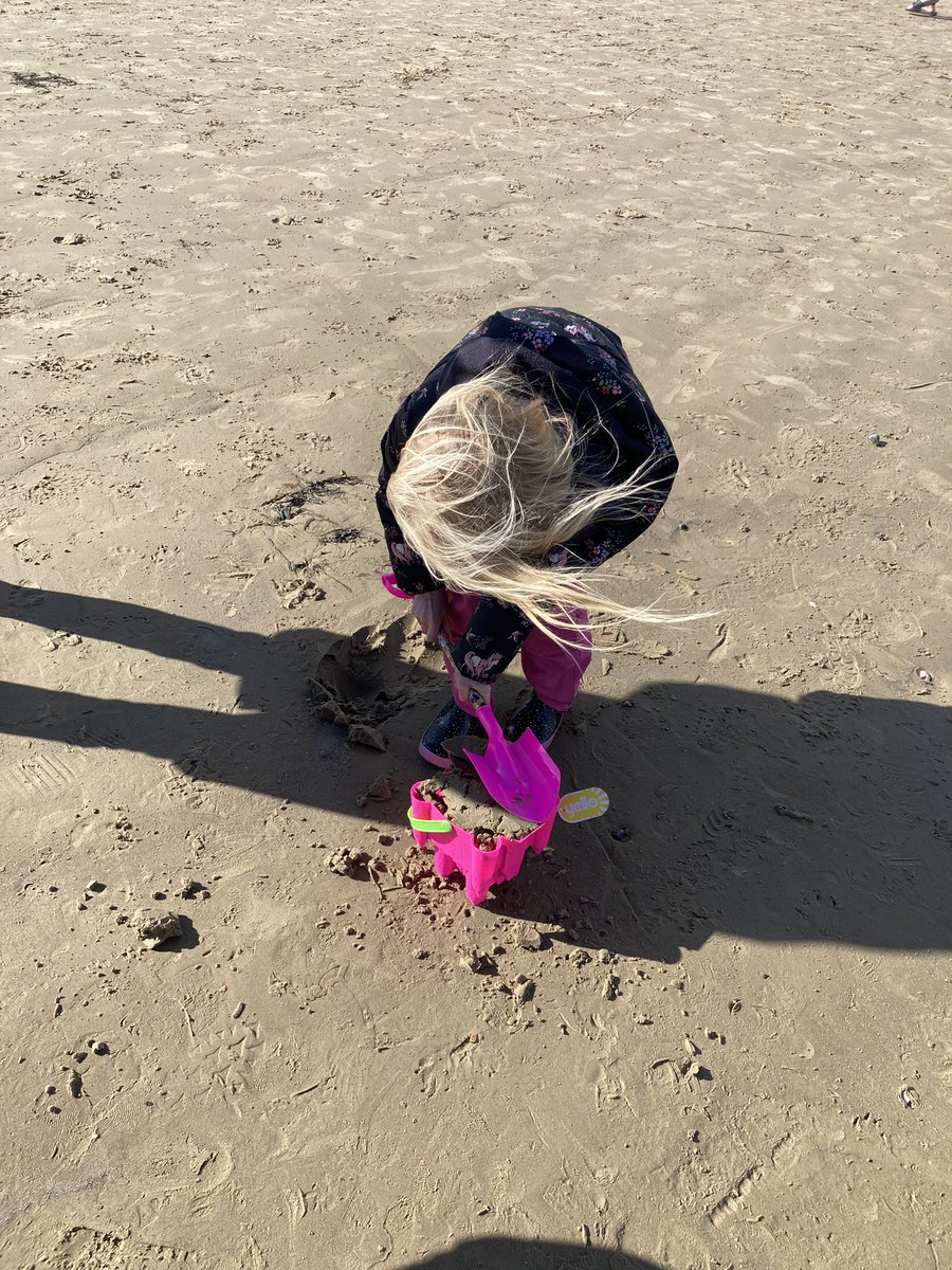 Team Year Four tweet media