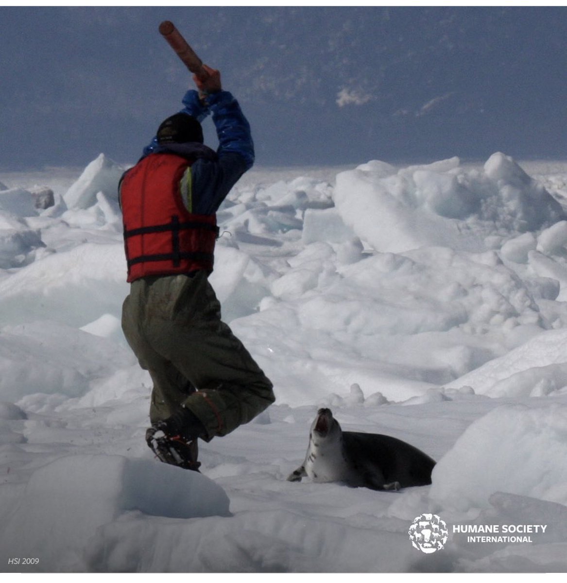 jannarden's tweet image. We are sick fuckers.