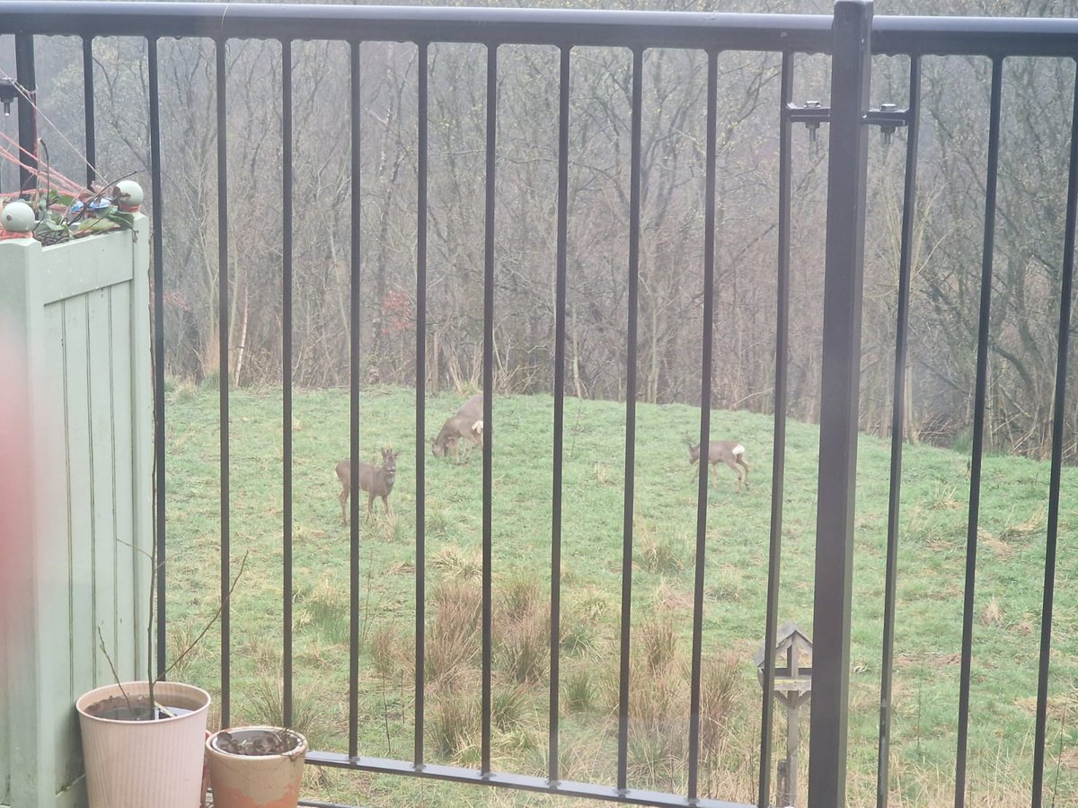 syncora_care tweet media