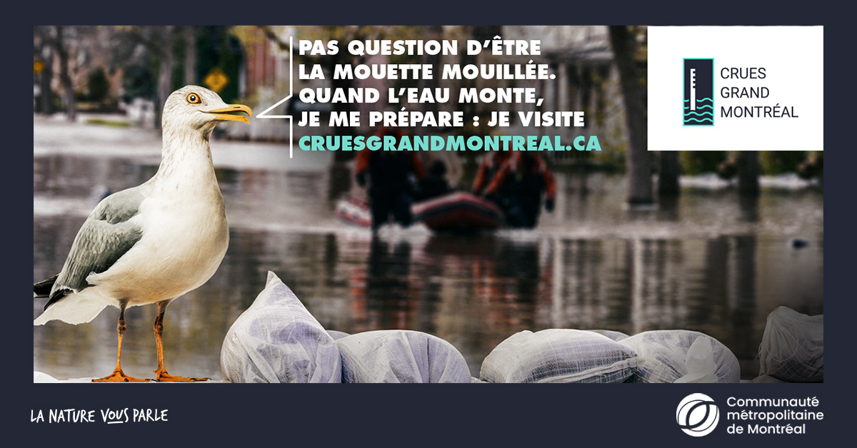 CMM_info's tweet photo. Les risques d’inondation sont plus élevés au printemps. Soyez aussi futés que la nature et préparez-vous!

Visitez le site Crues Grand Montréal de la CMM pour connaître l’état des cours d’eau en temps réel 👉https://t.co/SCchxbU6zs. #polmtl #polmun #inondationsqc https://t.co/HCCPiRGArR