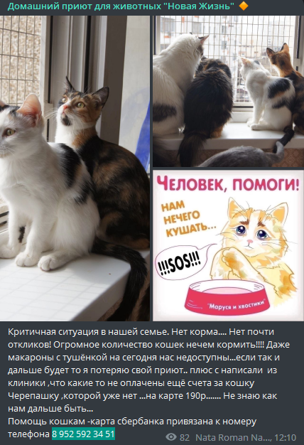 Дмитрий Липецкий tweet media
