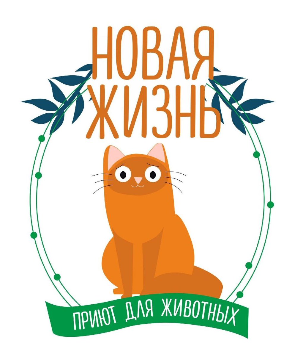 Дмитрий Липецкий tweet media