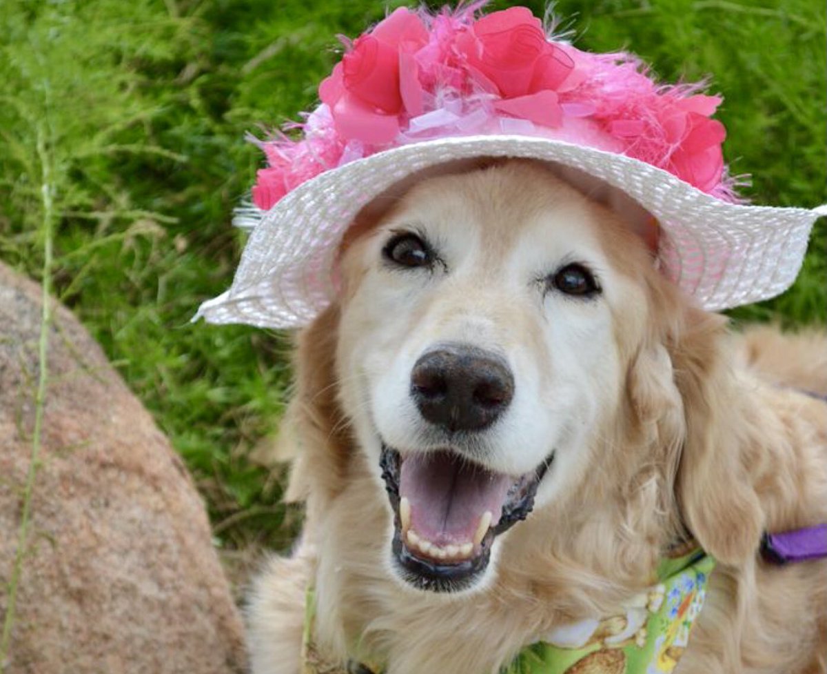 Let us live like flowers,
Wild and beautiful and drenched in the sun.