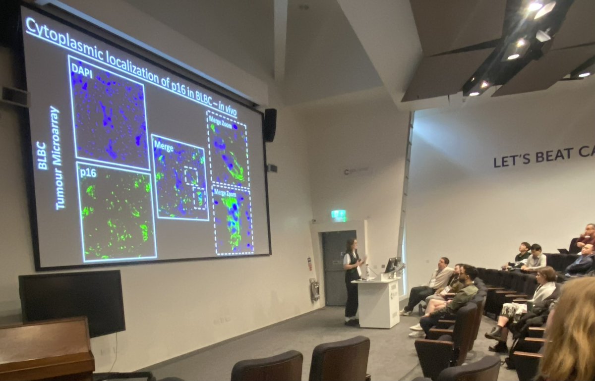 Emily O'Sullivan tweet media