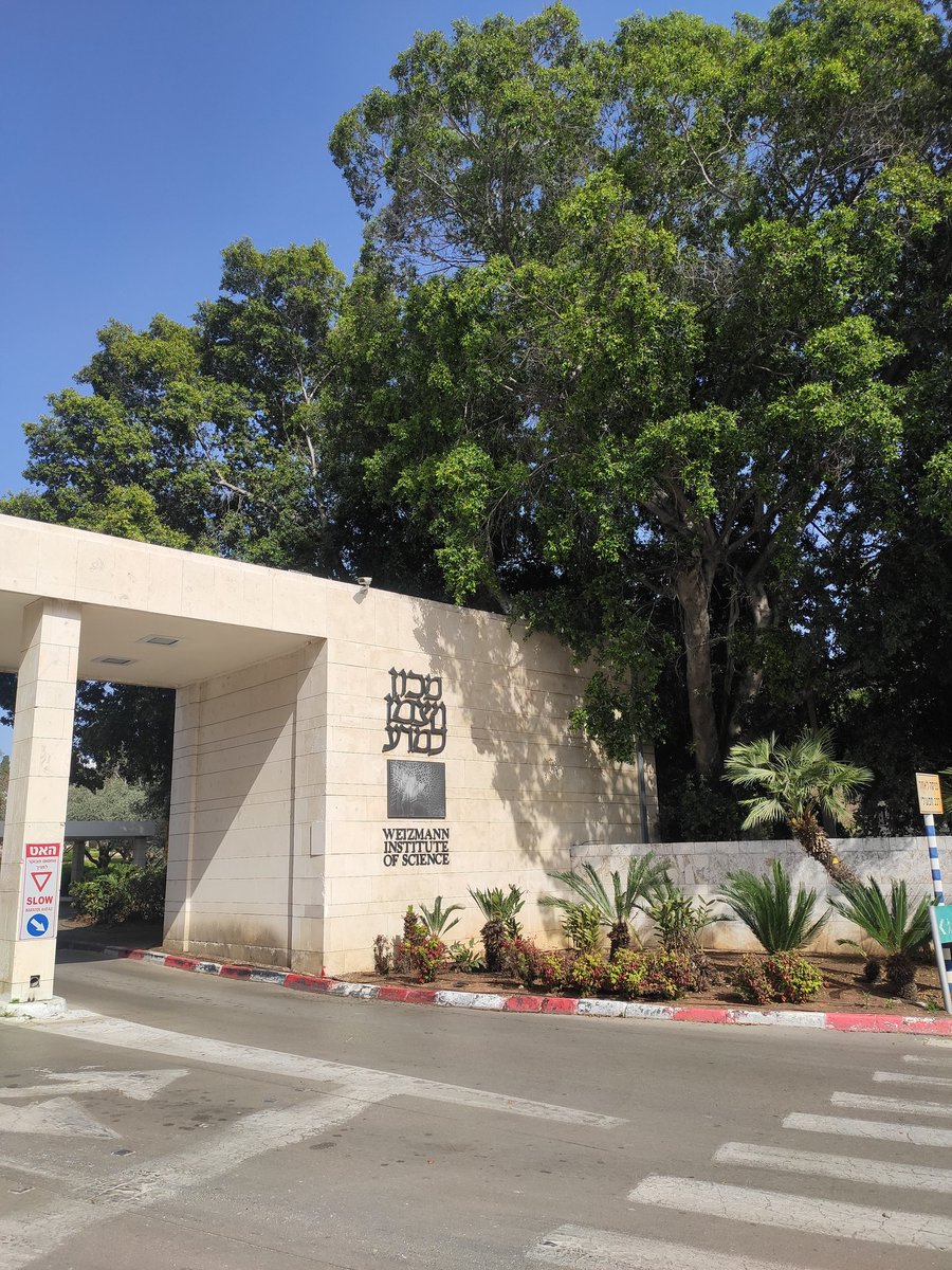 Kiara Freitag tweet media