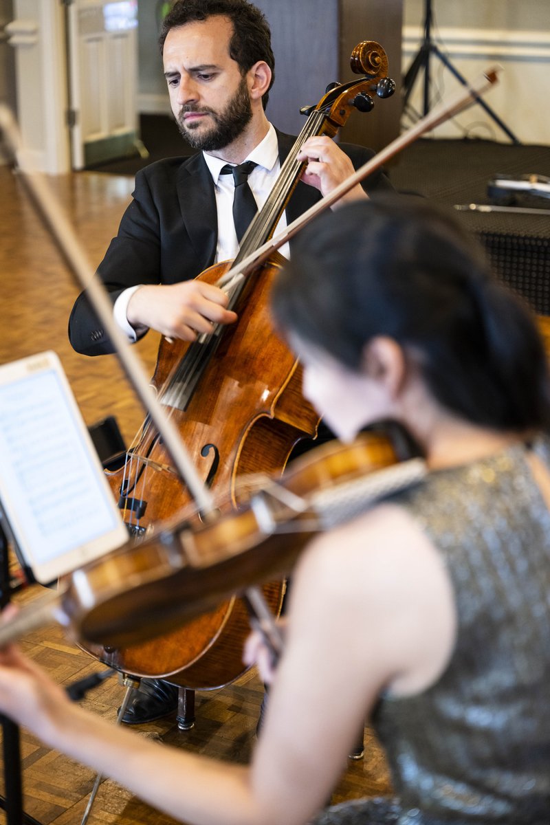 Symphony in C tweet media