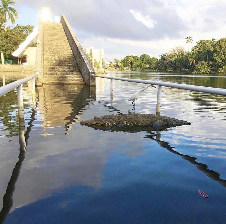 Había una vez en Tabasco 🥥 🐊