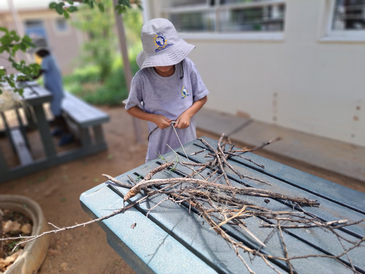becia1978's tweet image. Grade 2 students @WISNamibia used critical thinking to make a strong nest. The goal behind it was to show understanding of the concept of environment and protection #learningAtWis #grade2 #sharingtheplanet  #thinkingclassroom
