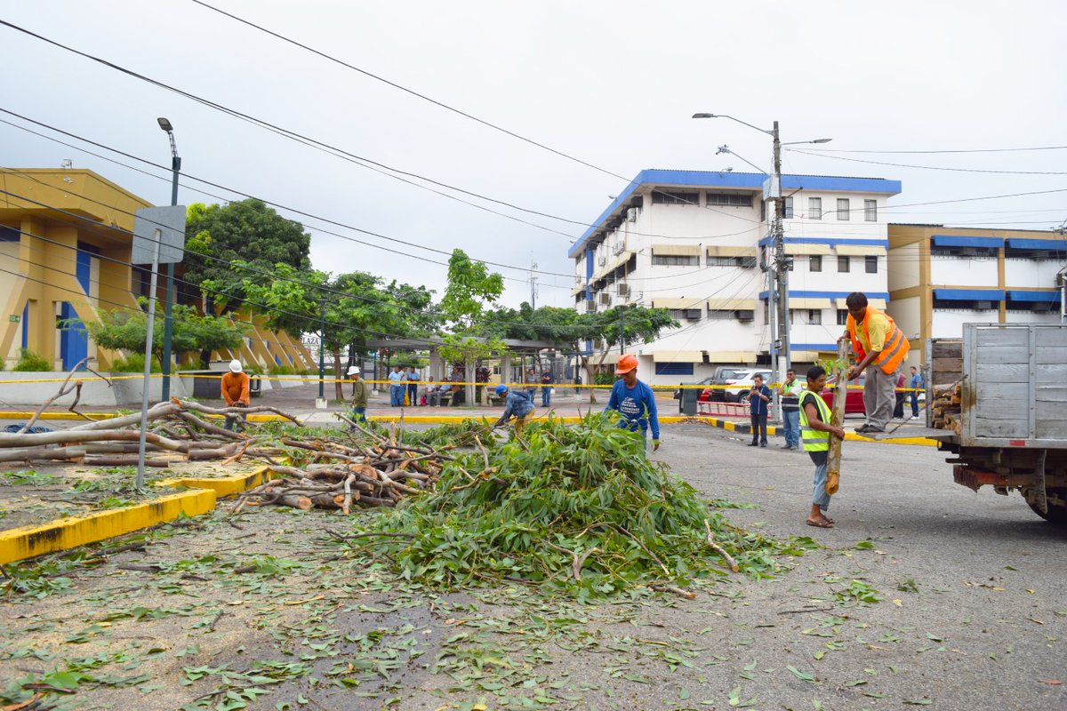 𝐓𝐑𝐀𝐁𝐀𝐉𝐎𝐒 𝐃𝐄 𝐌𝐀𝐍𝐓𝐄𝐍𝐈𝐌𝐈𝐄𝐍𝐓𝐎 𝐄𝐍 𝐋𝐀  𝐔𝐆
Gracias a la gestión de las autoridades de la UG personal operativo de CNEL realizaron la reposición de postes de alumbrado eléctrico, mismos que fueron afectados por las fuertes lluvias y cumplieron su vida útil.